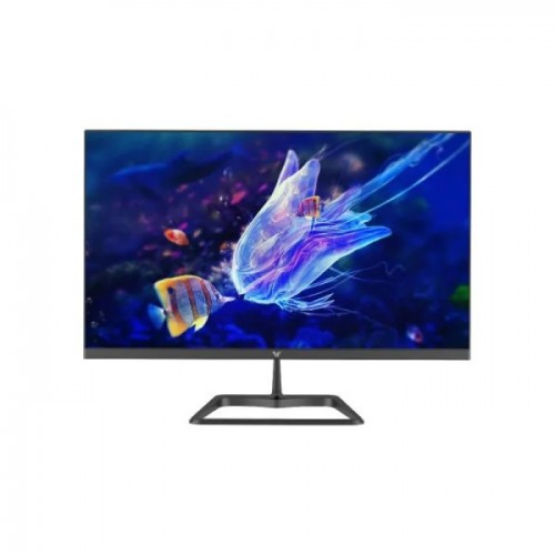 Value-Top S24IFR100 23.8 inch 100Hz IPS FHD Monitor