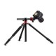 Zomei M8 Professional Camera Tripod And Overhead Gear With 72-Inch Extension Arm Monopod